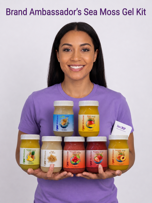 R102 Wellness Ambassador Sea Moss Gel Pack