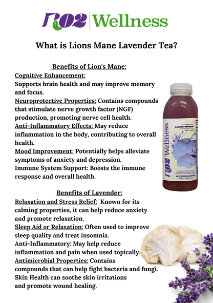 Lion's Mane Wellness Bundle - Special Sale