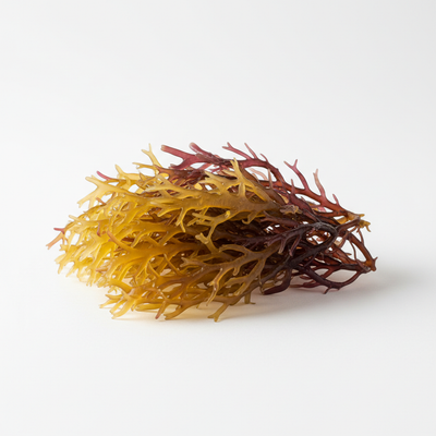 Sea Moss