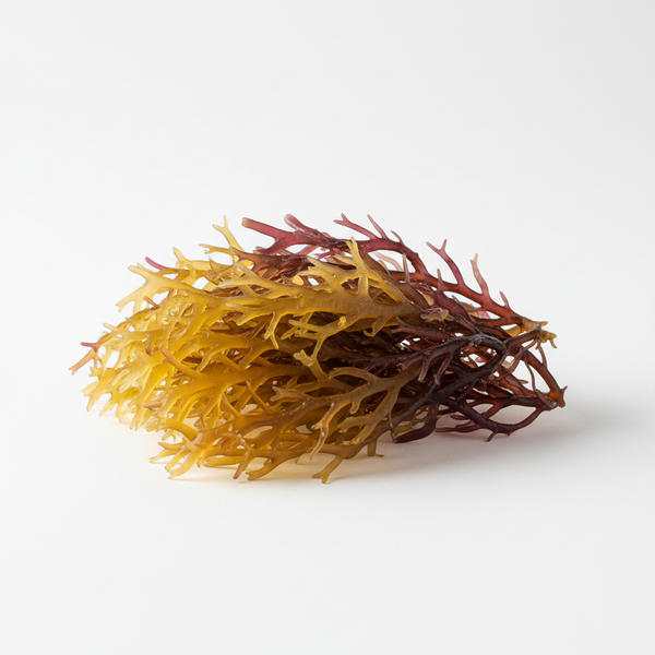 Sea Moss